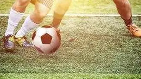 探寻美女主播事业顶峰秘境：与篮球巨星共话阅读感悟